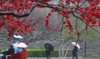 夜雨给我一支烟